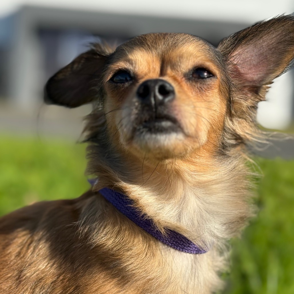 Gabby — thumbnail 3