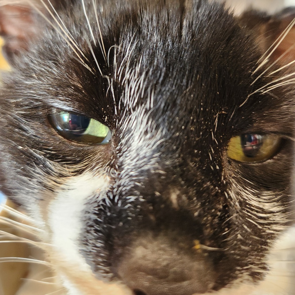 Andrew — thumbnail 2