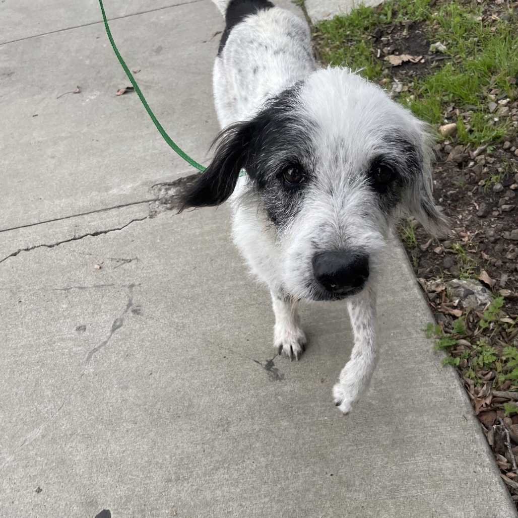 LYLA — thumbnail 3