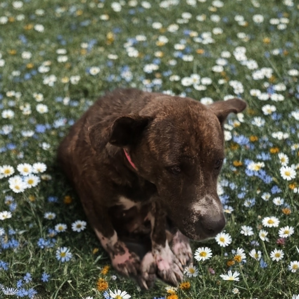 Jane — thumbnail 2