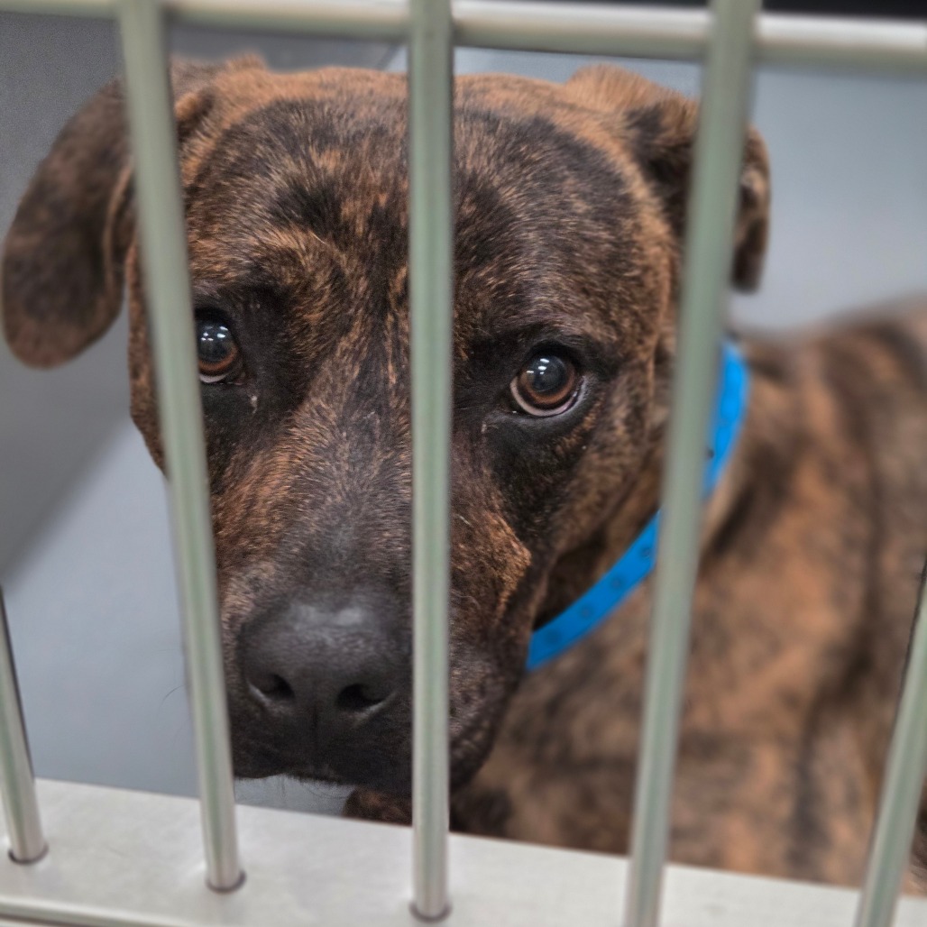 COSTA — thumbnail 3