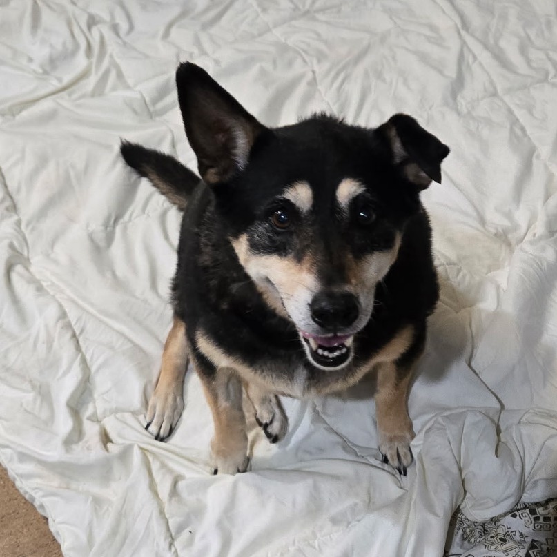 Bella