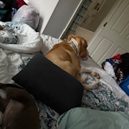 Photo of Forgot to ask 3