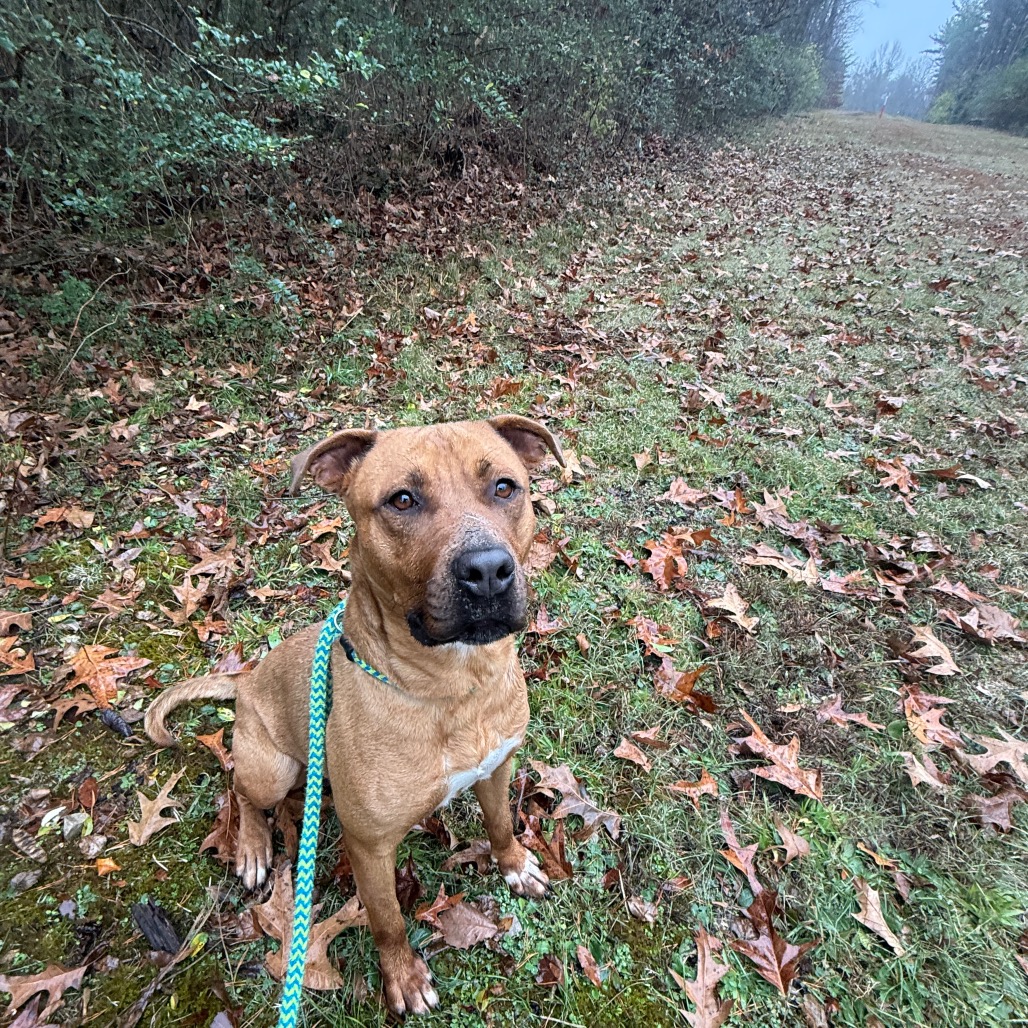 Elsie, photo 12