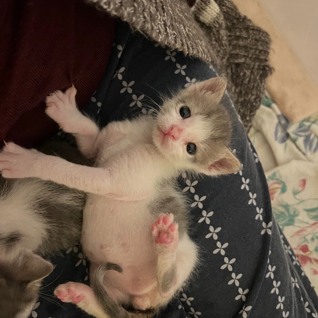 12491