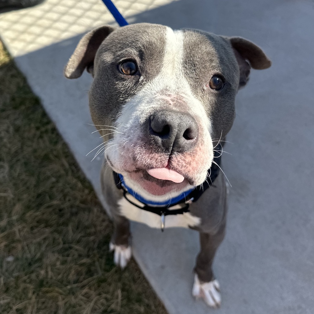 Nino — thumbnail 4