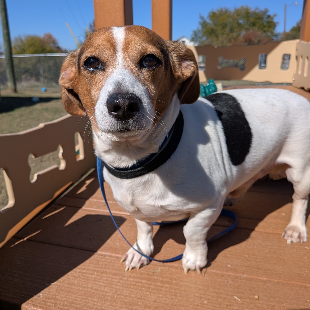 Frank, photo 2