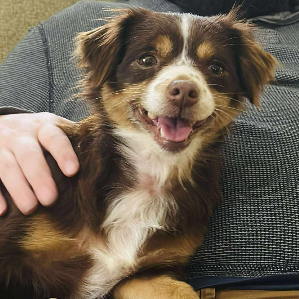 Tilly