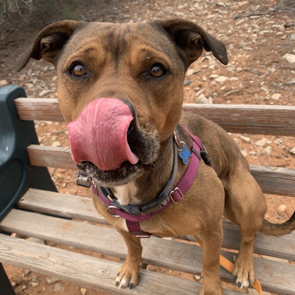 Ember, photo 22