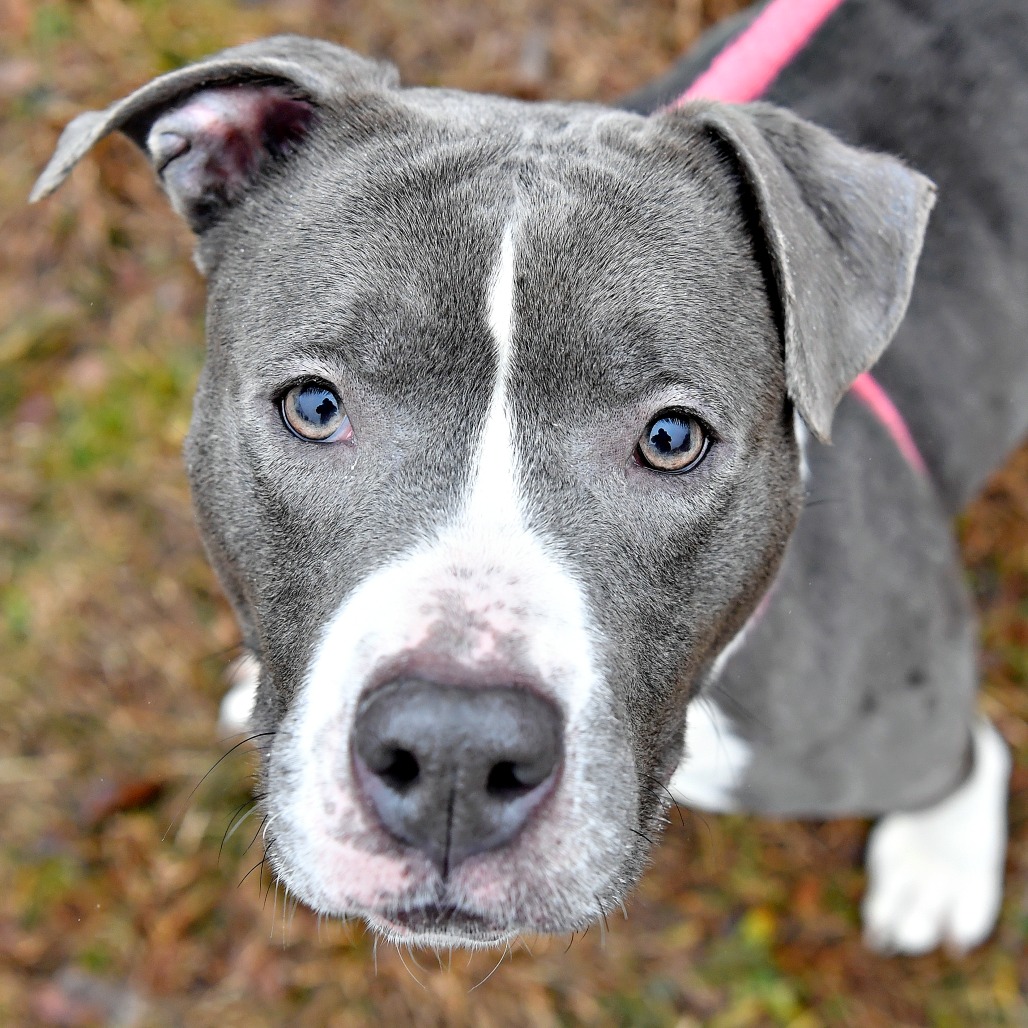 cc9efd59ef1304b7dd1eef20b9af466d