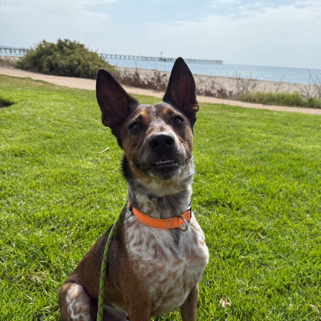 Cash, photo 13