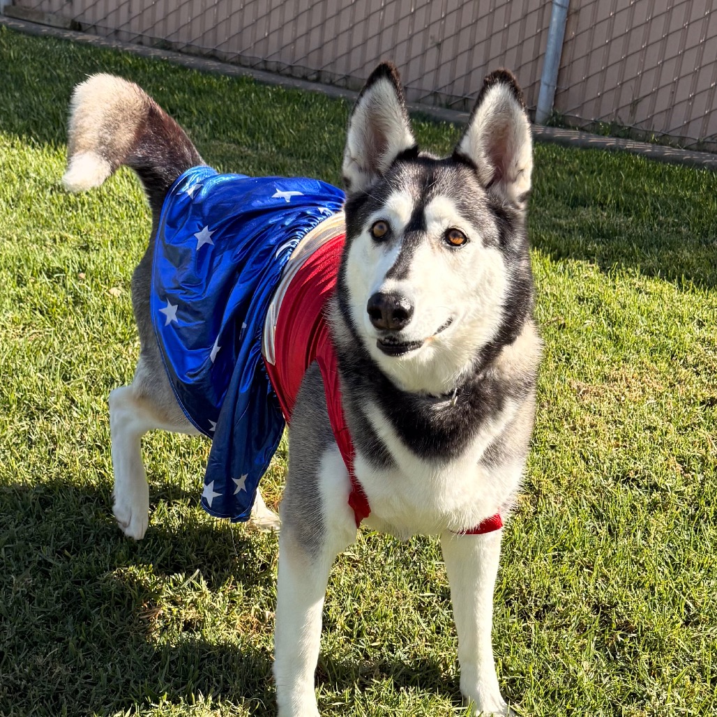 Tundra, photo 23
