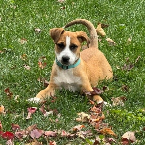 Taki, photo 13