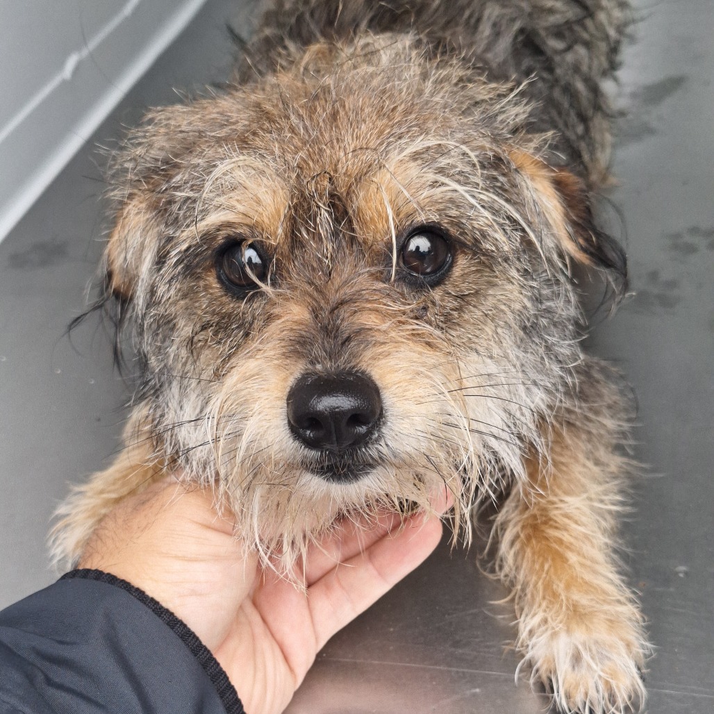 Kennel#3(Mabie)'s preview photo