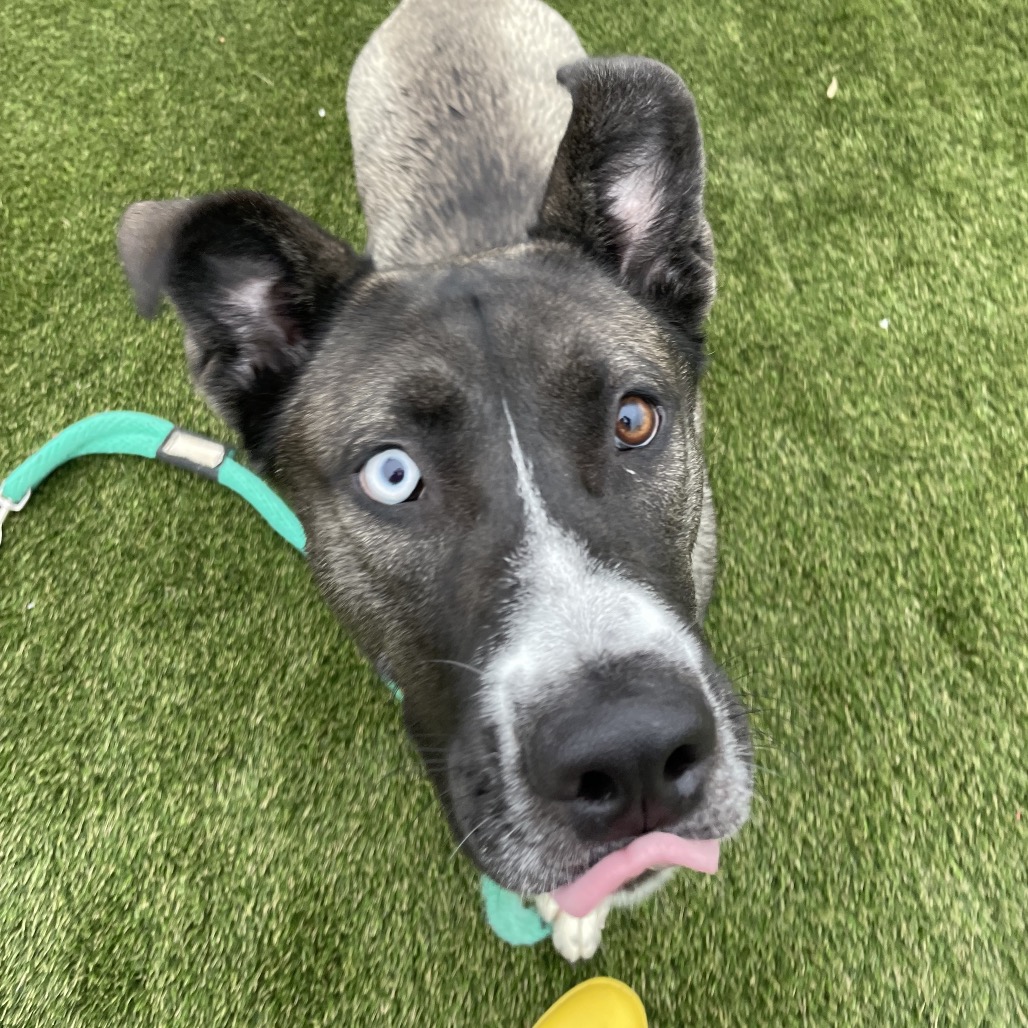 Mittens — thumbnail 5