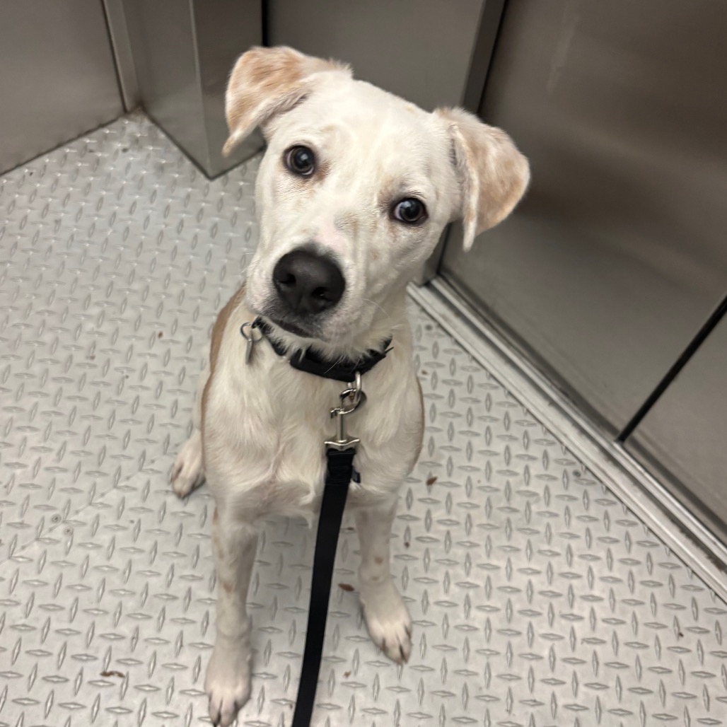 Oasis — thumbnail 4