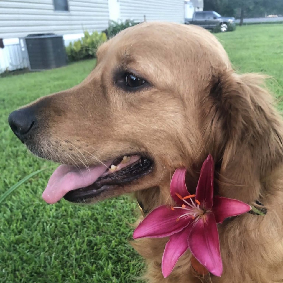 Darby