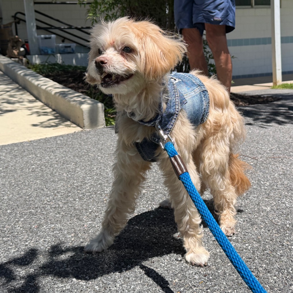 Crouton (Jelani), photo 31