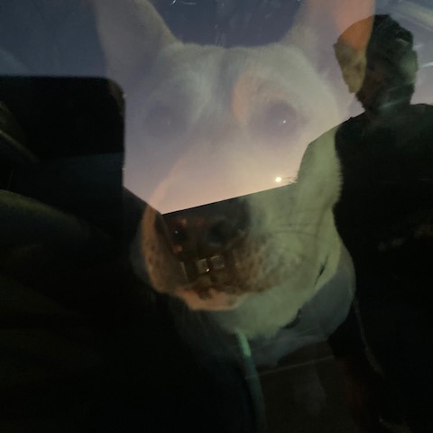 Brendon — thumbnail 2