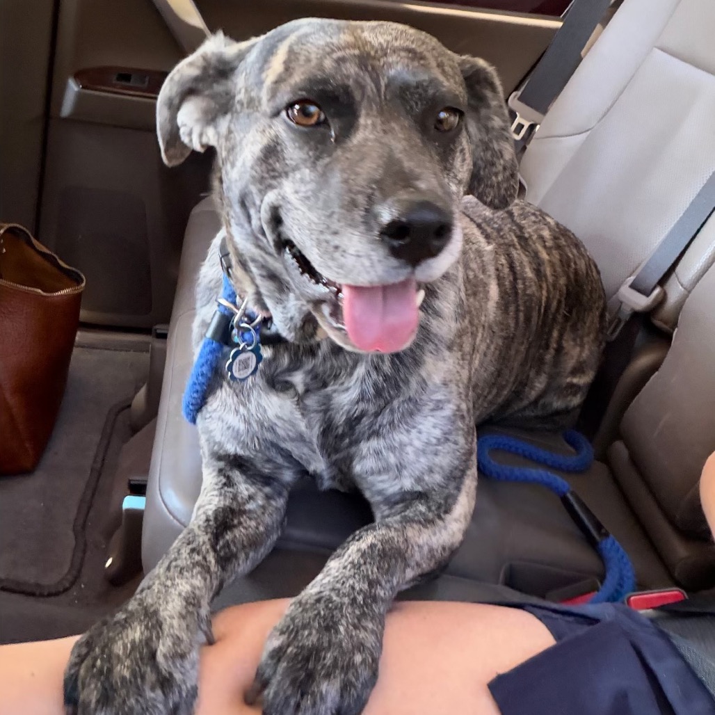 Daisy Duke (Formerly Phoebe), photo 17