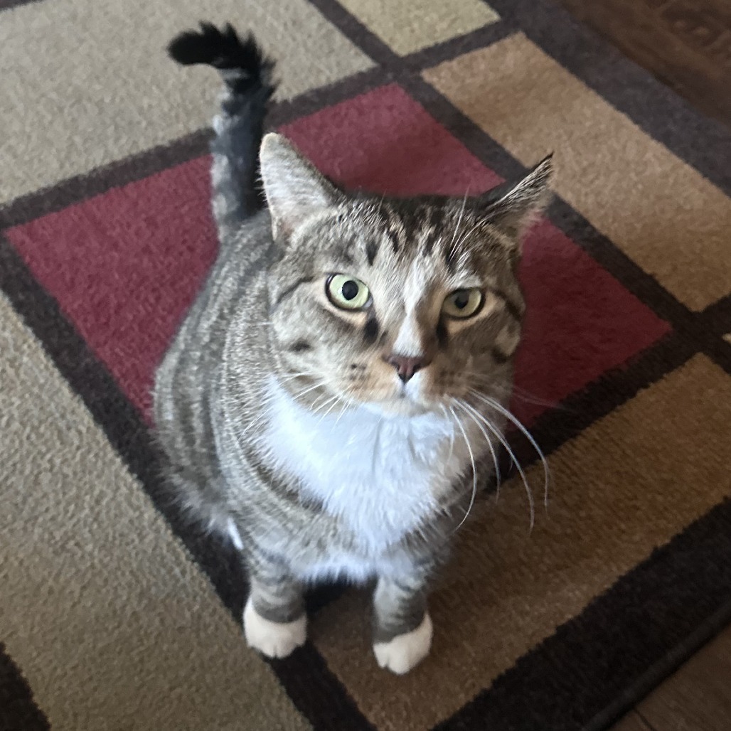 Charlie, photo 3
