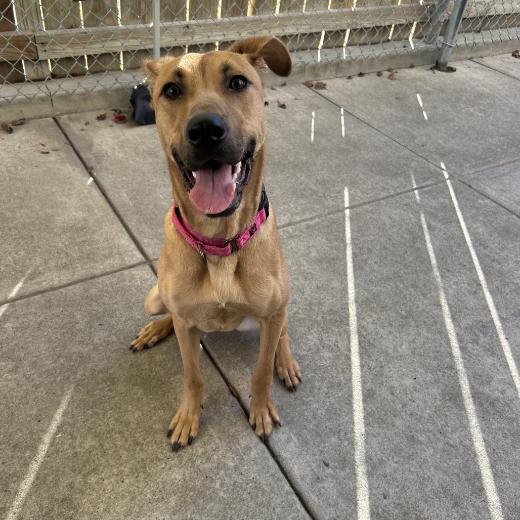 Photo of Artemisia 5