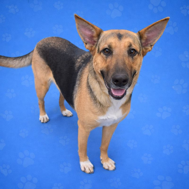 MARIAH — thumbnail 3