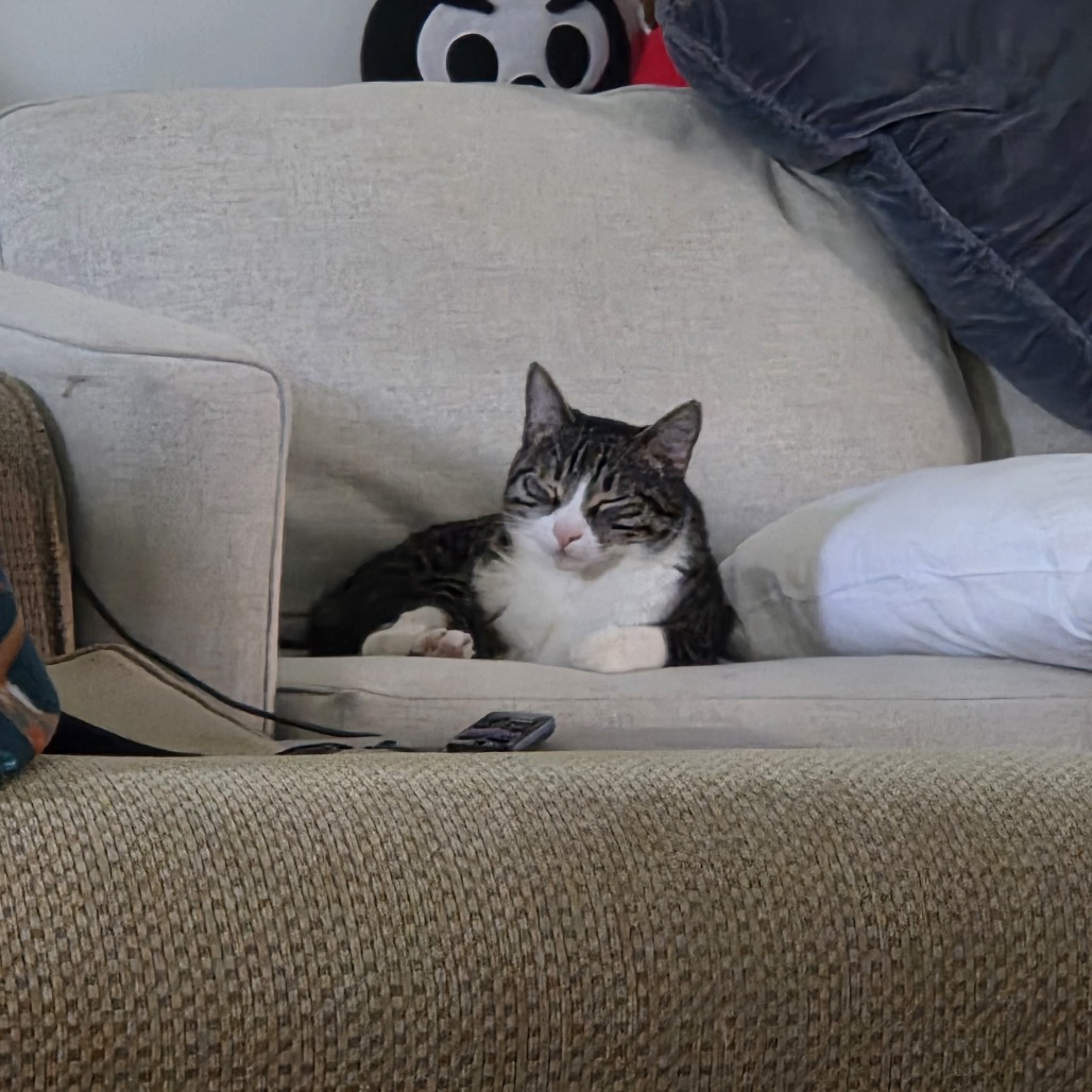 Carl, photo 15