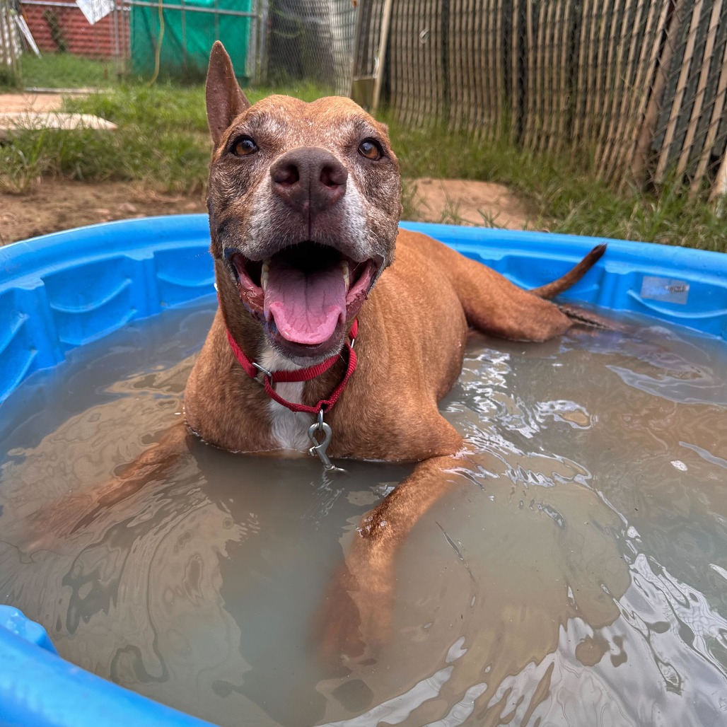 Melon Loaf — thumbnail 8