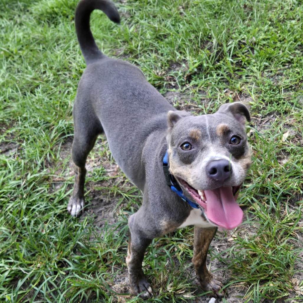 Zoe, photo 3