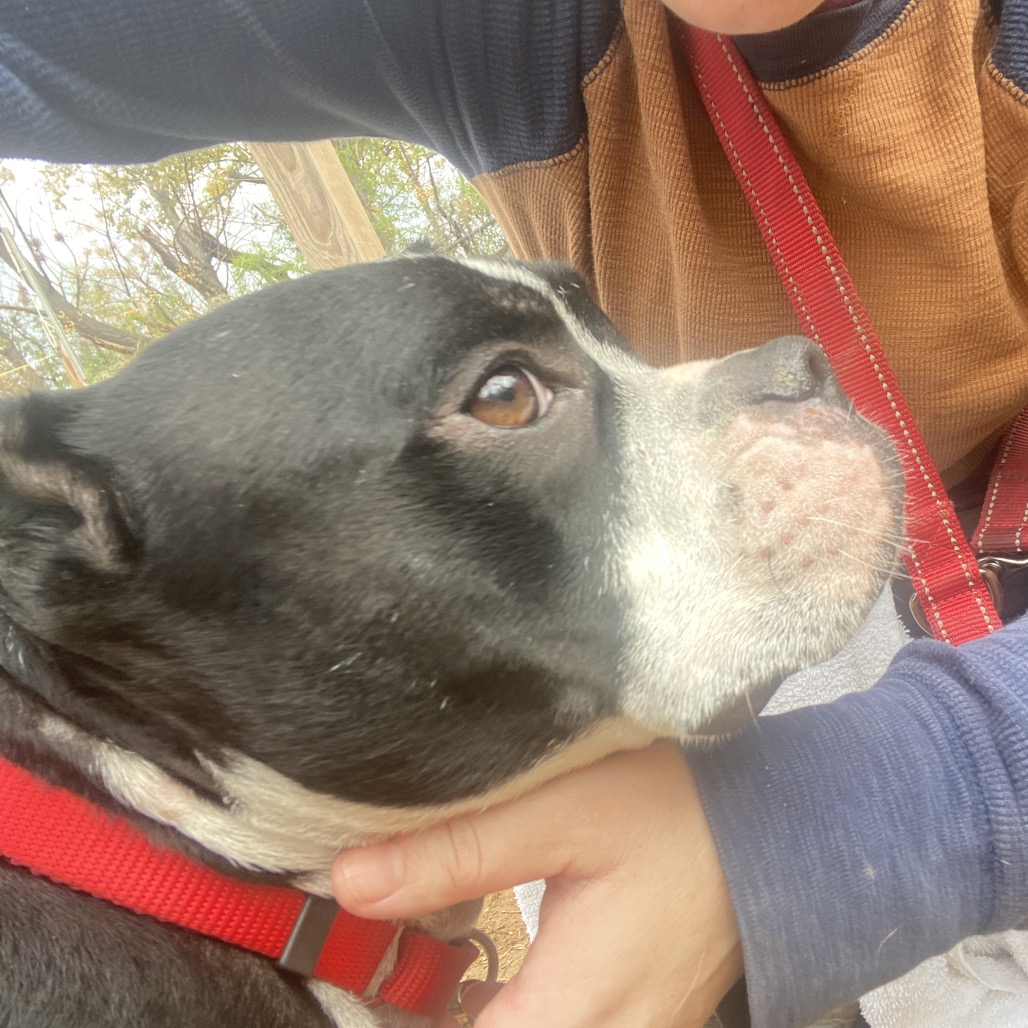 Dorothea — thumbnail 10