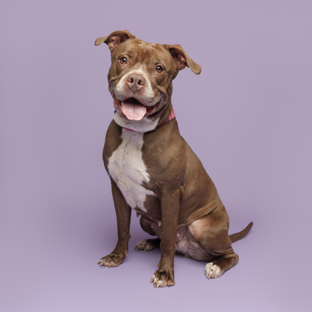 Photo of Gertie 10