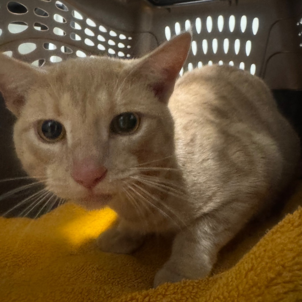 543cd2a67b0b8d9328fffae5396c6858