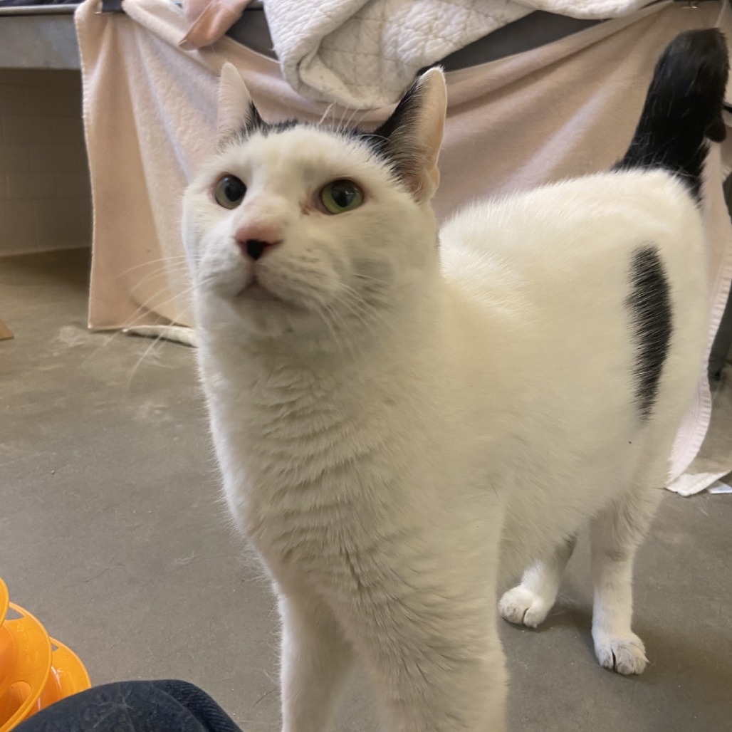 Photo of Jasper 10
