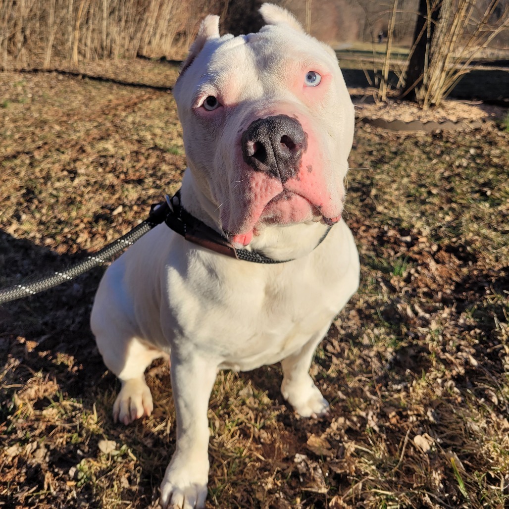 52b0612234981ab70a588bf16e6357d7