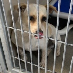 Kennel#19 Timmy's preview photo