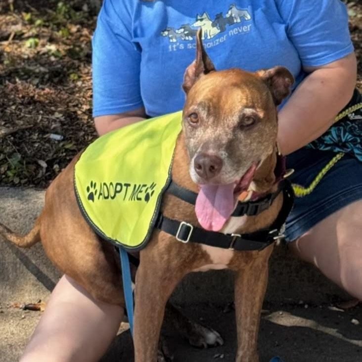 Melon Loaf — thumbnail 10