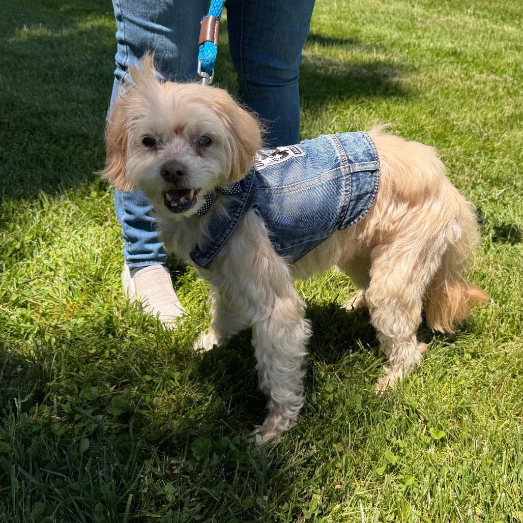Crouton (Jelani), photo 23