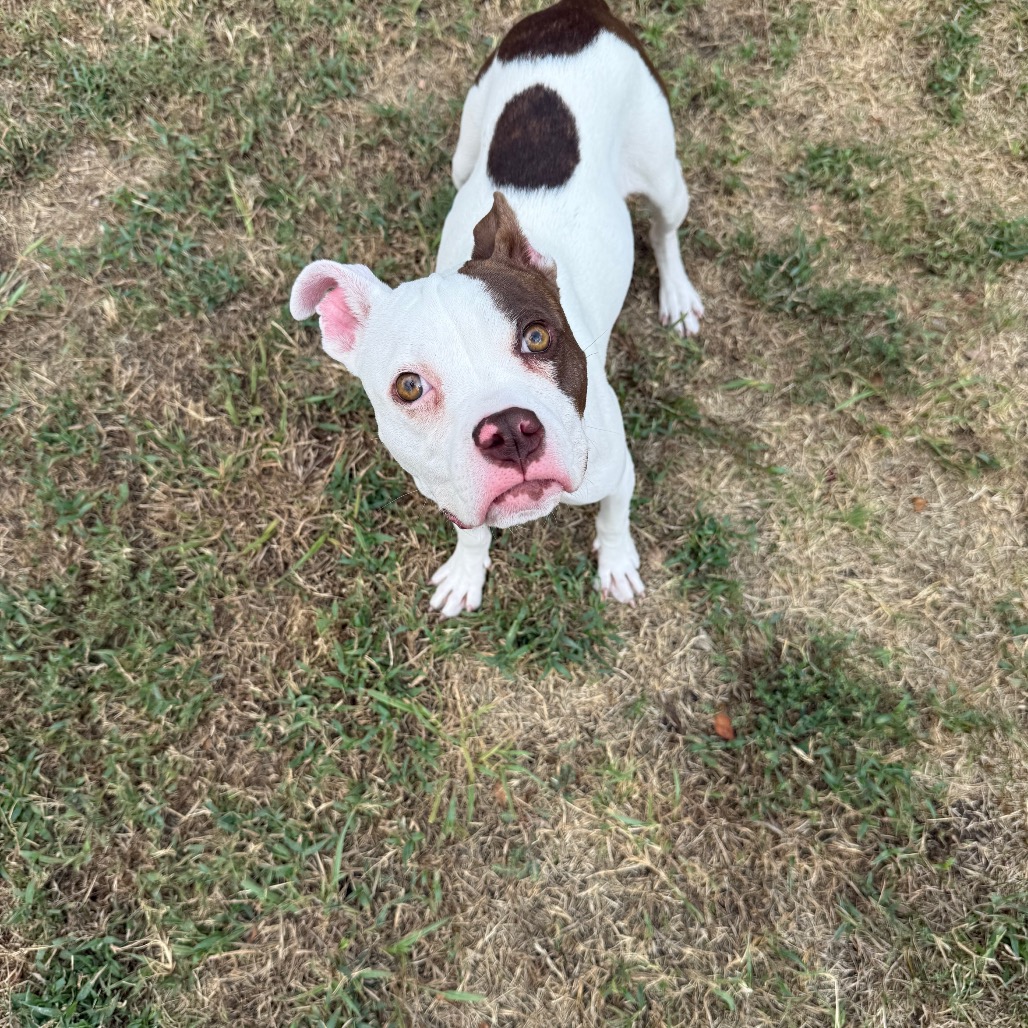 Olivia photo 4