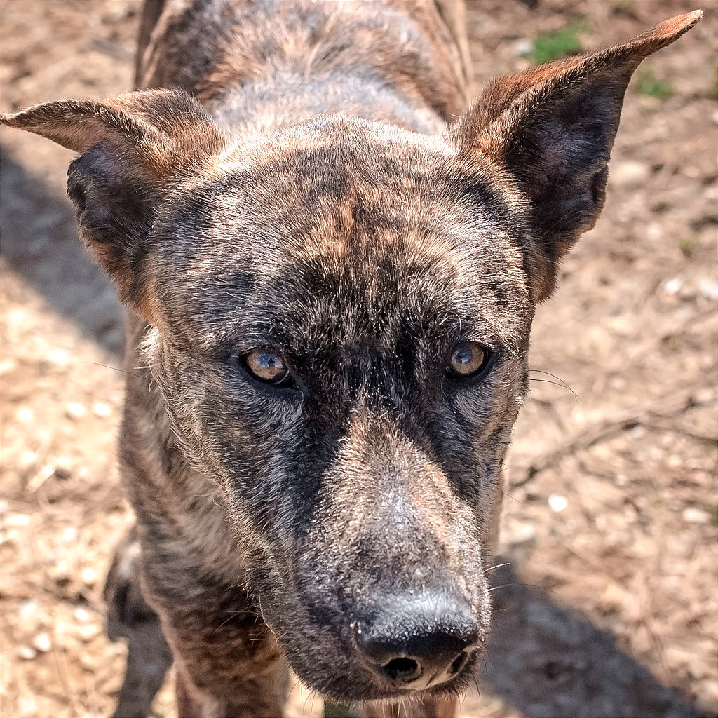 Hades — thumbnail 5