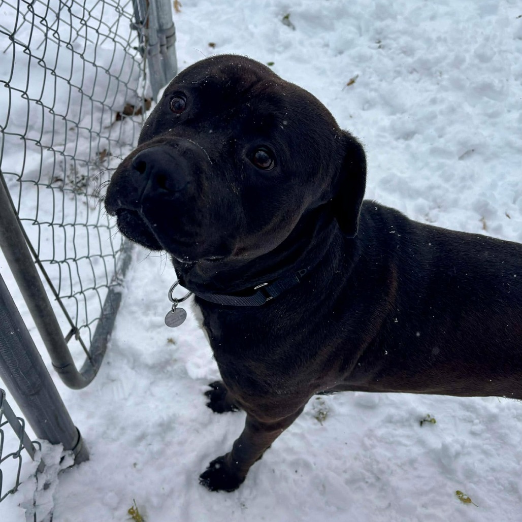 Loverboy — thumbnail 4