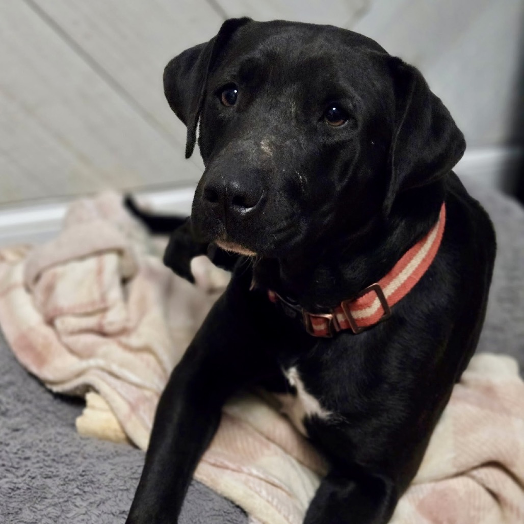 Emma Stone — thumbnail 2