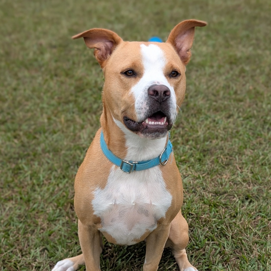 Bonnie 04-2230, photo 8