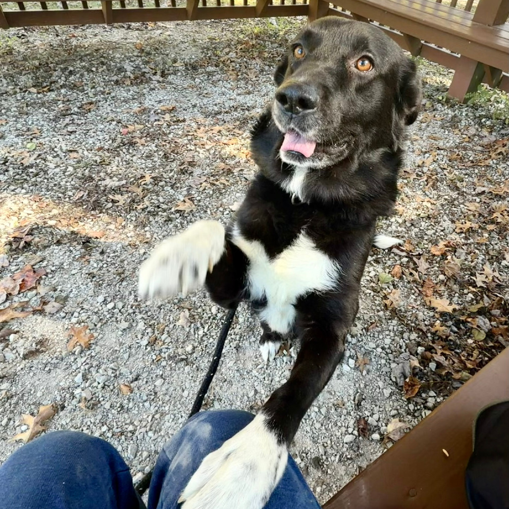 Daisy Jo, photo 17