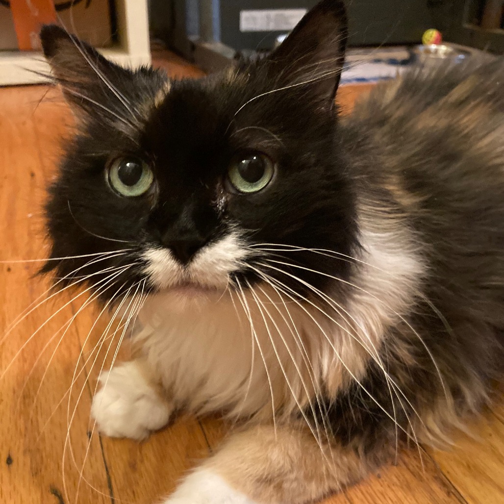 Leah, photo 28