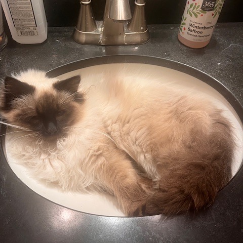 French Toast — thumbnail 2