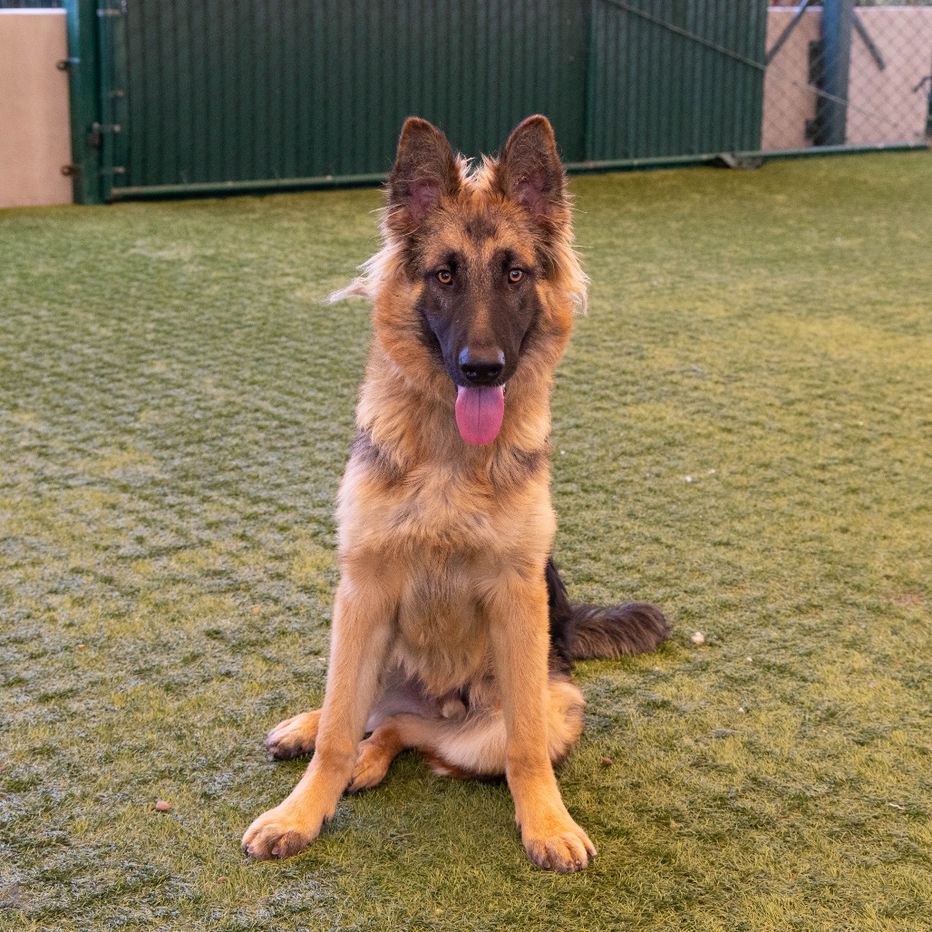 Beau