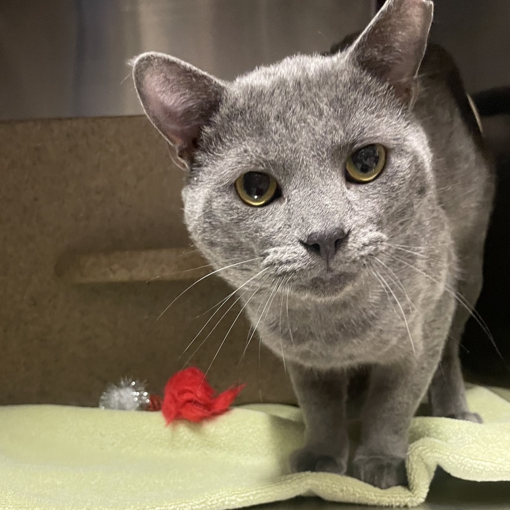 97aac7e1d2e2b53d21189ec6053957e5