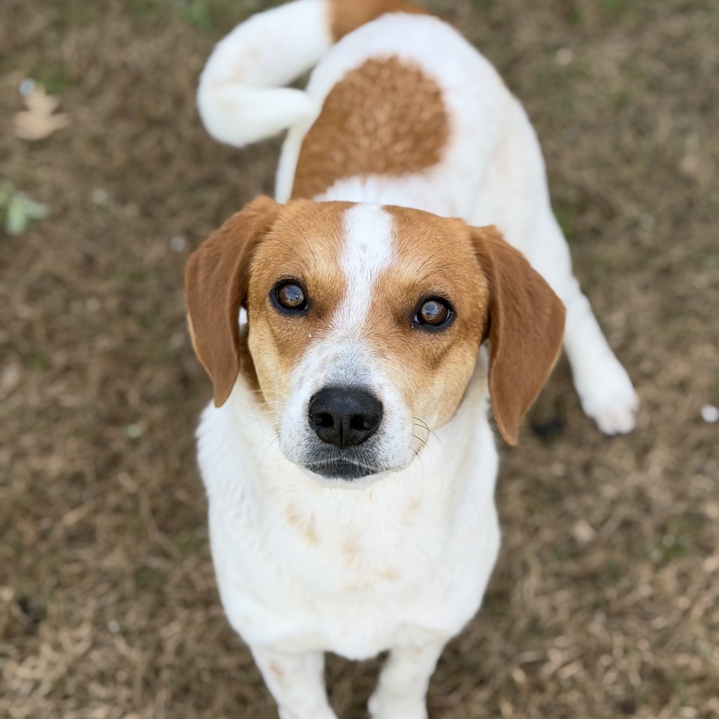 Carmela — thumbnail 2