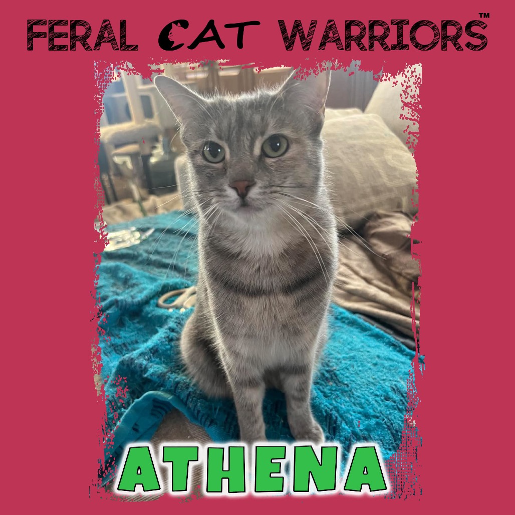 Athena